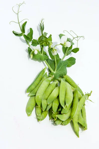 Grüne Erbsen Der Schote Erbsen Erbsen Erbsen Kugeln — Stockfoto