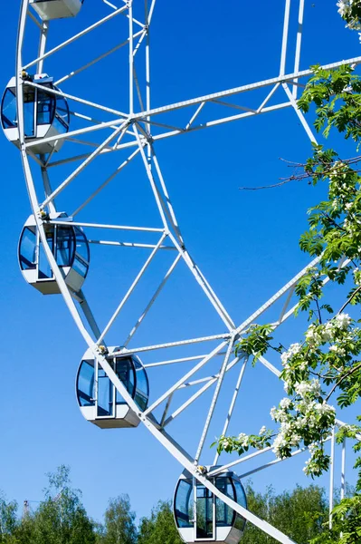 Şehir Parkı içinde dönme dolap. Kırmızı Dev dönme dolap ile berrak mavi gökyüzünün yarısı. Büyük vintage dalgalanmalar 