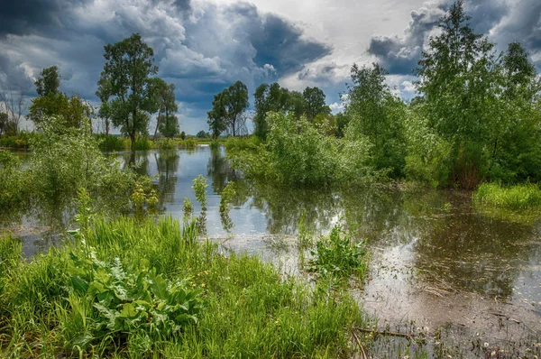 Xdr etkisi. Yüksek kaynak suyu. Baharın başlangıcı nehrinde güneşli bir günde. Ağaç su üzerine eğildi ve yansıtıyordu. Bulutlar cennet. Bahar manzara. Bahar geliyor.
