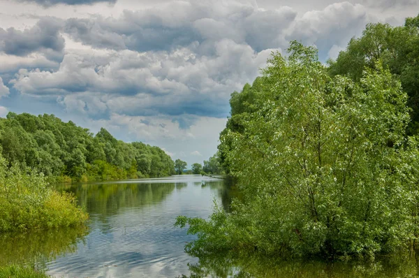 sel suları bastığında. bir sel sonucu olarak taşan su.