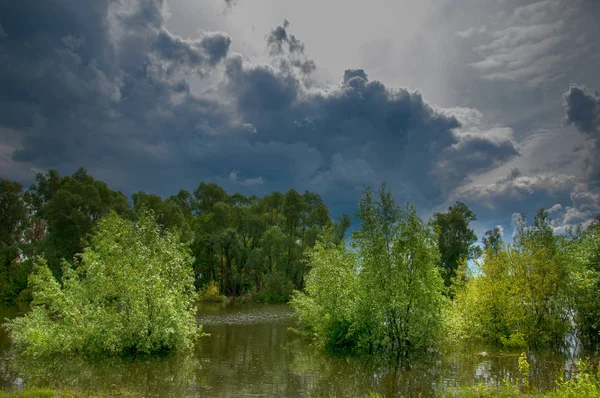 sel suları bastığında. bir sel sonucu olarak taşan su. Yüksek kaynak suyu. Baharın başlangıcı nehrinde güneşli bir günde. Bulutlar cennet. Bahar manzara. Bahar geliyor.