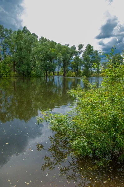 sel suları bastığında. bir sel sonucu olarak taşan su. Yüksek kaynak suyu. Baharın başlangıcı nehrinde güneşli bir günde. Bulutlar cennet. Bahar manzara. Bahar geliyor.