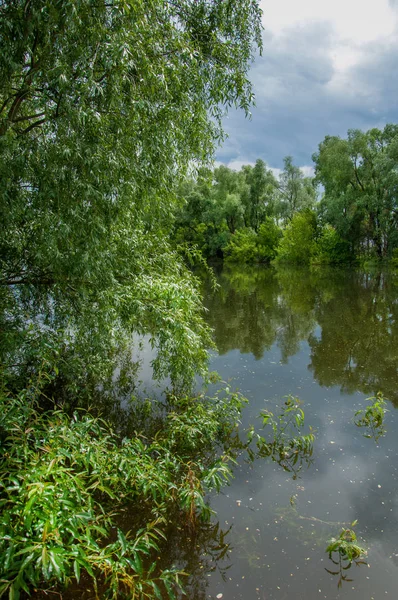 Aguas Inundación Desbordamiento Agua Como Resultado Una Inundación Agua Manantial — Foto de Stock