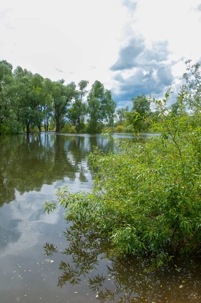 sel suları bastığında. bir sel sonucu olarak taşan su. Yüksek kaynak suyu. Baharın başlangıcı nehrinde güneşli bir günde. Bulutlar cennet. Bahar manzara. Bahar geliyor.