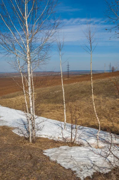 Bahar manzara. bahar alanında son kar. engebeli arazi. ağaçların yaprakları olmadan. ilk sıcak günleridir