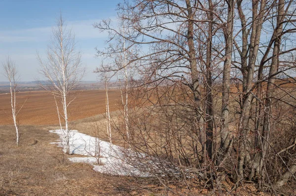 Våren Landskap Sista Snön Fältet Våren Kuperad Terräng Träd Utan — Stockfoto