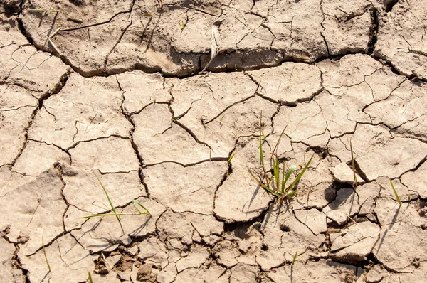 Tierra Sin Agua Roto Textura Una Sequía — Foto de Stock