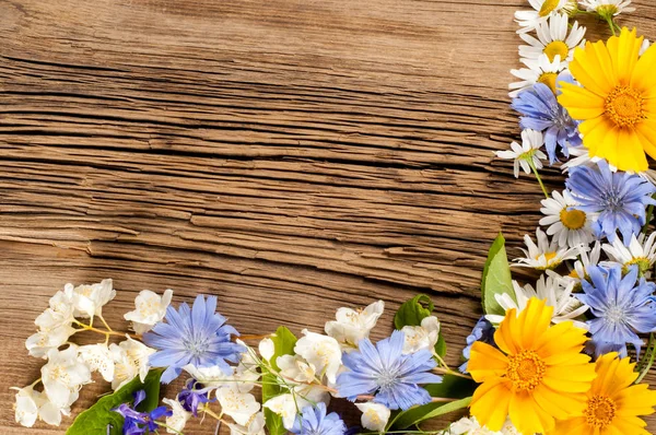 Kır çiçekleri. Stüdyo fotoğrafçılığı. Papatya, Yasemin, peygamber çiçeği, Doronicum, tahtaya