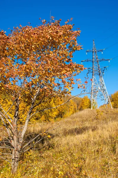 Sonbahar sahneleri. Energo. Yeşil enerji, enerji santrali, yakın yüksek voltajlı güç hatları kavramı. Güç Dağıtım İstasyonu. yüksek voltajlı elektrik iletim bir pilon siluet kulenin.