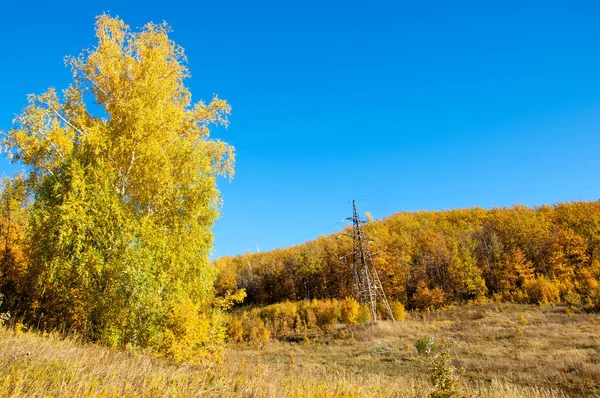 Sonbahar manzara, ağaç meşe akçaağaç sonbahar renkleri, eski çim boyanmıştı. Güzel renkli sonbahar yaprakları yeşil, sarı, turuncu, kırmızı topluluğu