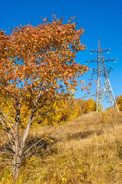 Sonbahar sahneleri. Energo. Yeşil enerji, enerji santrali, yakın yüksek voltajlı güç hatları kavramı. Güç Dağıtım İstasyonu. yüksek voltajlı elektrik iletim bir pilon siluet kulenin.