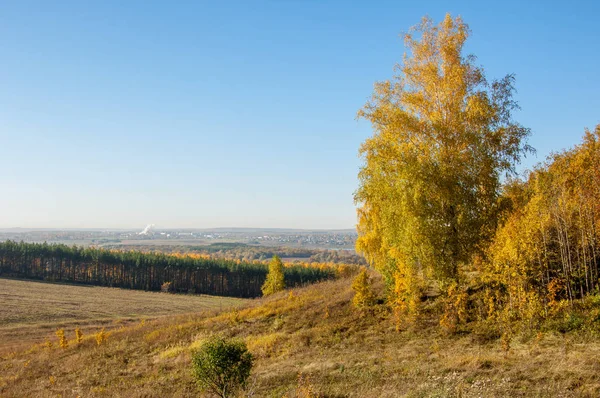 Jesienny Krajobraz Brzozy Dębu Klony Były Malowane Kolorach Jesieni Stary — Zdjęcie stockowe