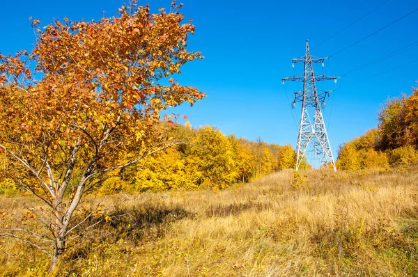 Sonbahar sahneleri. Energo. Yeşil enerji, enerji santrali, yakın yüksek voltajlı güç hatları kavramı. Güç Dağıtım İstasyonu. yüksek voltajlı elektrik iletim bir pilon siluet kulenin.