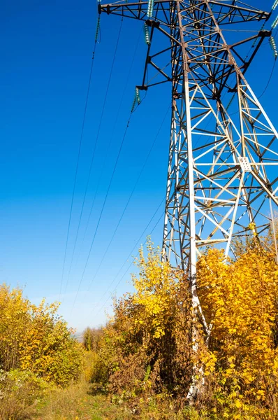 Sonbahar sahneleri. Energo. Yeşil enerji, enerji santrali, yakın yüksek voltajlı güç hatları kavramı. Güç Dağıtım İstasyonu. yüksek voltajlı elektrik iletim bir pilon siluet kulenin.