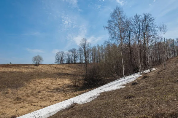 Bahar manzara. bahar alanında son kar. engebeli arazi. ağaçların yaprakları olmadan. ilk sıcak günleridir
