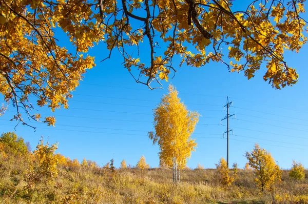 Sonbahar sahneleri. Energo. Yeşil enerji, enerji santrali, yakın yüksek voltajlı güç hatları kavramı. Güç Dağıtım İstasyonu. yüksek voltajlı elektrik iletim bir pilon siluet kulenin.