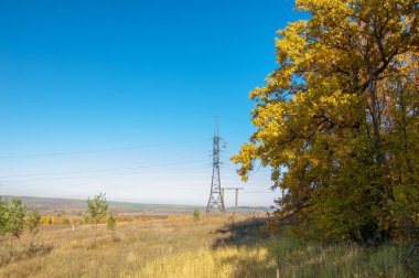 Sonbahar sahneleri. Energo. Yeşil enerji, enerji santrali, yakın yüksek voltajlı güç hatları kavramı. Güç Dağıtım İstasyonu. yüksek voltajlı elektrik iletim bir pilon siluet kulenin.