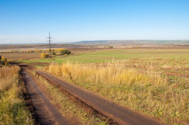 Sonbahar sahneleri. Sonbahar karışık ormanlarında pitoresk toprak yol. Tepe arazisi solmuş çimlerle kaplıydı. Yol tarladan hasat toplayan makinelerle sarılmış.