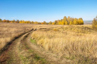 Sonbahar sahneleri. Sonbahar karışık ormanlarında pitoresk toprak yol. Tepe arazisi solmuş çimlerle kaplıydı. Yol tarladan hasat toplayan makinelerle sarılmış.