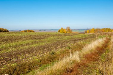 Sonbahar manzara alanından sonra hasat. Sibirya frosts beklentisiyle dünya mı