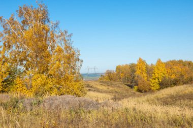 Sonbahar manzara, ağaç meşe akçaağaç sonbahar renkleri, eski çim boyanmıştı. Güzel renkli sonbahar yaprakları yeşil, sarı, turuncu, kırmızı topluluğu