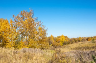 Sonbahar manzara, ağaç meşe akçaağaç sonbahar renkleri, eski çim boyanmıştı. Güzel renkli sonbahar yaprakları yeşil, sarı, turuncu, kırmızı topluluğu