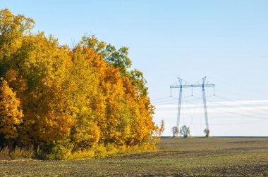 Sonbahar sahneleri. Energo. Yeşil enerji, enerji santrali, yakın yüksek voltajlı güç hatları kavramı. Güç Dağıtım İstasyonu. yüksek voltajlı elektrik iletim bir pilon siluet kulenin.