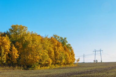 Sonbahar sahneleri. Energo. Yeşil enerji, enerji santrali, yakın yüksek voltajlı güç hatları kavramı. Güç Dağıtım İstasyonu. yüksek voltajlı elektrik iletim bir pilon siluet kulenin.