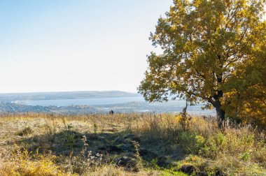 Sonbahar manzara. Sonbahar ormanda