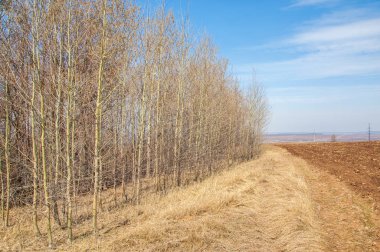 Bahar manzara. Taze sürülmüş alan. engebeli arazi. ağaçların yaprakları olmadan. Çok renkli bahar ağaçları. Geçen yılki kış kar kalan. Son kar.