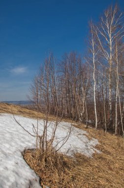 Bahar manzara son kar. Alanları tarım bitkileri Ekim için hazır