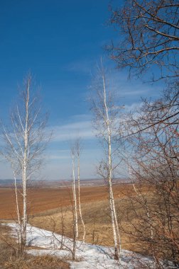 Bahar manzara son kar. Alanları tarım bitkileri Ekim için hazır