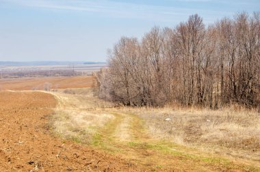 Bahar manzara. Taze sürülmüş alan. engebeli arazi. ağaçların yaprakları olmadan. Çok renkli bahar ağaçları. Geçen yılki kış kar kalan. Son kar.