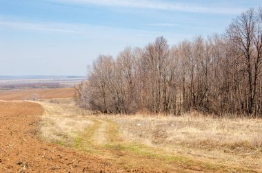 Bahar manzara. Taze sürülmüş alan. engebeli arazi. ağaçların yaprakları olmadan. Çok renkli bahar ağaçları. Geçen yılki kış kar kalan. Son kar.