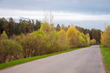 Bahar peyzaj, gündoğumu gündoğumu. Köy yolunda, bir yol ile kırsal manzara.