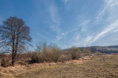 Bahar manzara. Taze sürülmüş alan. engebeli arazi. ağaçların yaprakları olmadan. Çok renkli bahar ağaçları. Geçen yılki kış kar kalan. Son kar.
