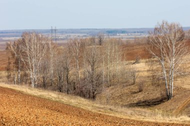 Bahar manzara. Taze sürülmüş alan. engebeli arazi. ağaçların yaprakları olmadan. Çok renkli bahar ağaçları. Geçen yılki kış kar kalan. Son kar.