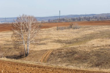 Bahar manzara. Taze sürülmüş alan. engebeli arazi. ağaçların yaprakları olmadan. Çok renkli bahar ağaçları. Geçen yılki kış kar kalan. Son kar.