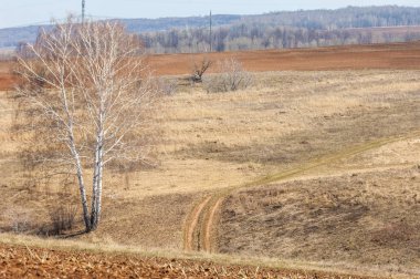 Bahar manzara. Taze sürülmüş alan. engebeli arazi. ağaçların yaprakları olmadan. Çok renkli bahar ağaçları. Geçen yılki kış kar kalan. Son kar.