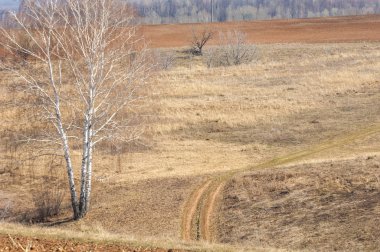 Bahar manzara. Taze sürülmüş alan. engebeli arazi. ağaçların yaprakları olmadan. Çok renkli bahar ağaçları. Geçen yılki kış kar kalan. Son kar.