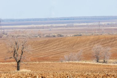 Bahar manzara. Taze sürülmüş alan. engebeli arazi. ağaçların yaprakları olmadan. Çok renkli bahar ağaçları. Geçen yılki kış kar kalan. Son kar.