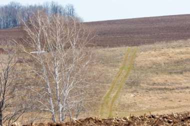Bahar manzara. Taze sürülmüş alan. engebeli arazi. ağaçların yaprakları olmadan. Çok renkli bahar ağaçları. Geçen yılki kış kar kalan. Son kar.