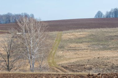 Bahar manzara. Taze sürülmüş alan. engebeli arazi. ağaçların yaprakları olmadan. Çok renkli bahar ağaçları. Geçen yılki kış kar kalan. Son kar.