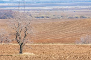 Bahar manzara. Taze sürülmüş alan. engebeli arazi. ağaçların yaprakları olmadan. Çok renkli bahar ağaçları. Geçen yılki kış kar kalan. Son kar.
