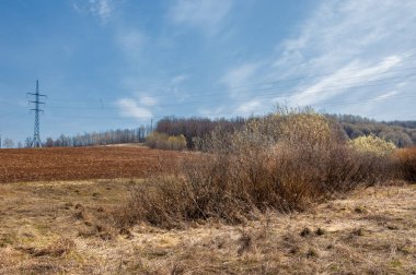 Bahar manzara. Taze sürülmüş alan. engebeli arazi. ağaçların yaprakları olmadan. Çok renkli bahar ağaçları. Geçen yılki kış kar kalan. Son kar.