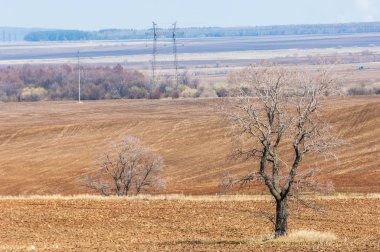 Bahar manzara. Taze sürülmüş alan. engebeli arazi. ağaçların yaprakları olmadan. Çok renkli bahar ağaçları. Geçen yılki kış kar kalan. Son kar.