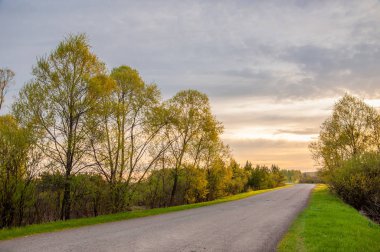 Bahar peyzaj, gündoğumu gündoğumu. Köy yolunda, bir yol ile kırsal manzara.
