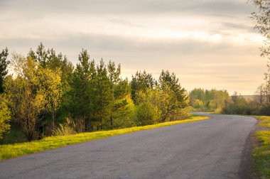 Bahar peyzaj, gündoğumu gündoğumu. Çayır ağaçları, kırsal manzara ile. manzara. Alan ve çim. 