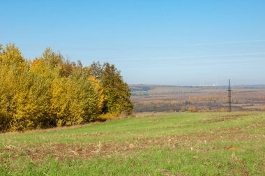 Sonbahar manzara, ağaç meşe akçaağaç sonbahar renkleri, eski çim boyanmıştı. Güzel renkli sonbahar yaprakları yeşil, sarı, turuncu, kırmızı topluluğu