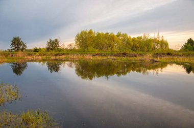 Bahar catering. Bir güzel bahar yatay bir bataklık, gündoğumu. Yeşil orman ve bulutlu gökyüzü bulutlu. Açık havada doğal çevre kavramı.